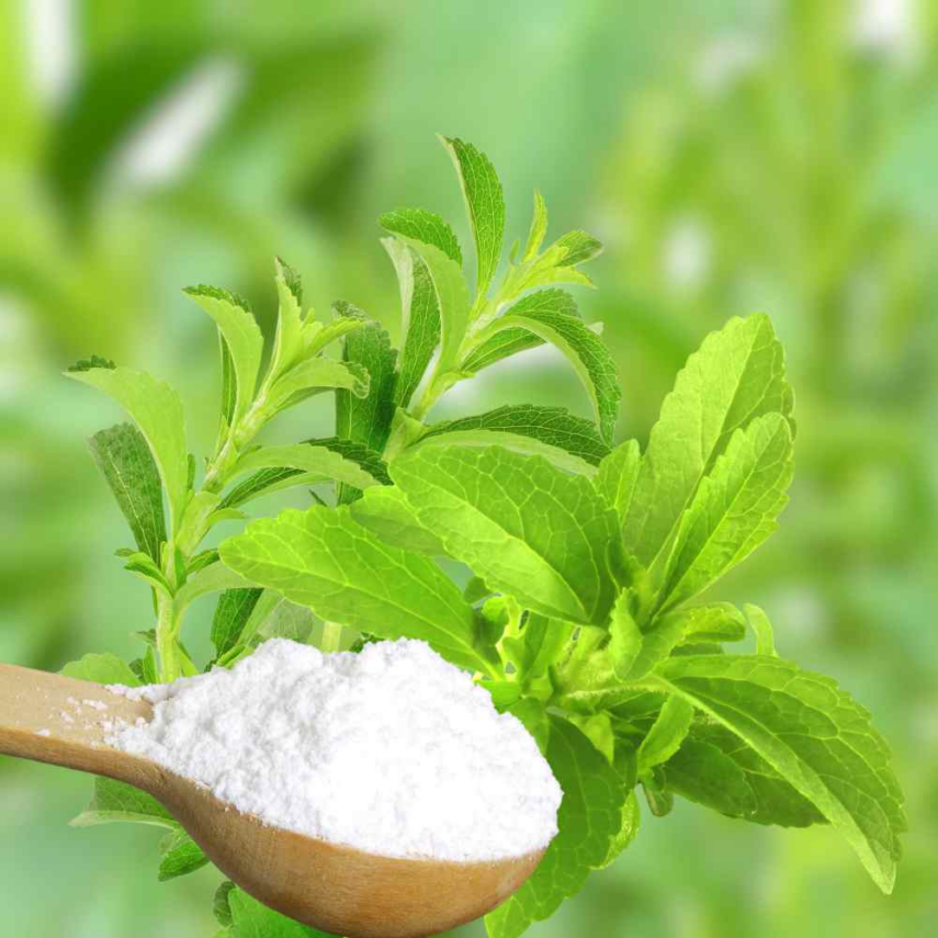 The trouble with Stevia Mizan Therapy