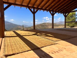 Mizan Practitioner Training, June 2025, Orgiva